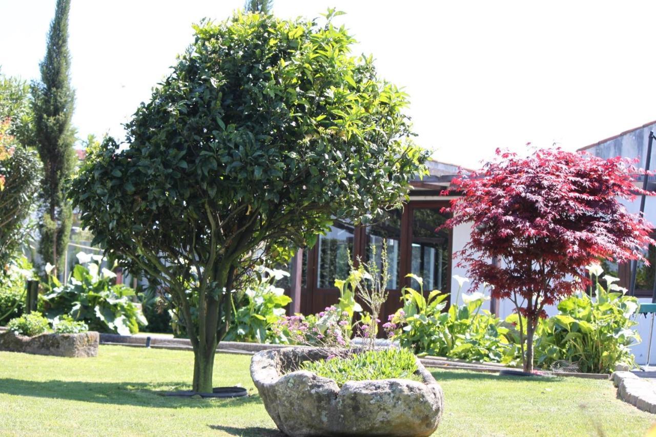 Casa Dos Meus Avos -Villas - Gaia & Porto Vila Nova de Gaia Dış mekan fotoğraf